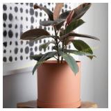 Mathers Plastic Planter with Saucer