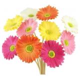 20 Pcs Artificial Gerbera Daisies Bouquet