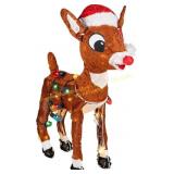NORTHLIGHT 24 in. Lighted Rudolph Yard Decoration