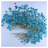 50 Branches Lake Blue Dried Flowers Kit