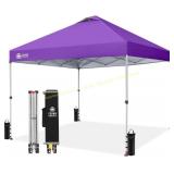 CROWN SHADES 10x10 Canopy - Purple