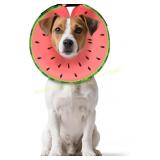 MIDOG Soft Inflatable Dog Cone Alternative