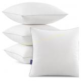 MIULEE 18x18 Pillow Inserts (Set of 2)