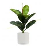 20 in. Rubber Tree Artificial Plant