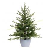 Celebrations 3 ft LED 50 ct Fraser Fir Potted