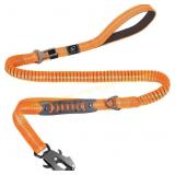 Raipult Bungee Dog Leash, 4-6FT, 2 Handles