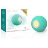 Wicked Ball SE: Interactive LED Dog Toy