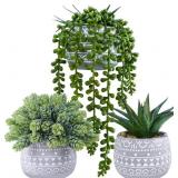 Winlyn 3 Pcs Succulent Plants in Gray Pots