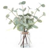 Bessol Eucalyptus Stems in Glass Vase, 13.5
