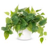 JPSOR Faux Pothos Plant in White Ceramic Pot