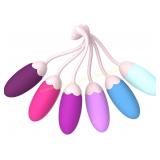 FENHUA Kegel System   6 Silicone Weights Kit