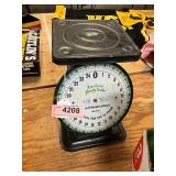Vintage American Family Scale