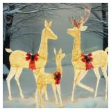 GIANNA Lighted Christmas Deer Family Set