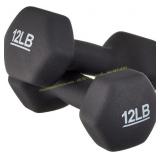 Neoprene Dumbbell Hand Weights 12 lbs