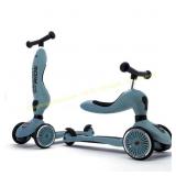 2 in 1 Ride-on/Stand Kids Scooter Brand?