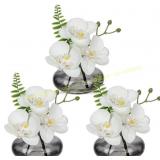 White Orchids in Black Glass Vases (Set of 3)