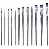 Transon Artist Paint Brushes 12 for Painting