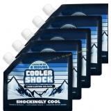 Cooler Shock Reusable Ice Packs for Coolers