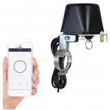 EVERSECU Tuya Water Valve, WiFi/Bluetooth