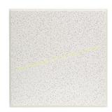 Radar White Shadowline Ceiling Tile (2x2)