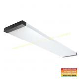 Linear Flush Mount 46in. X 10in.