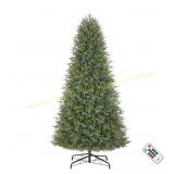 Home Accents 9 ft Pre-Lit LED Noble Fir