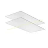 CPX 2x4 LED Panel Light (2-Pack)