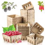 Vmiapxo 50-Pack Berry Basket, Vented