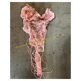 Backdrop, Charging Cords & Miscellaneous