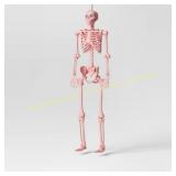 Poseable Skeleton Prop - Hyde & EEK! Boutique