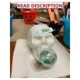 Plastic Skull w/ Snowglobe
