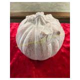 Isabel Bloom Pumpkin