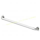 Project Source 36-in Stainless Grab Bar