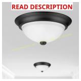 Project Source 2-Light 13-in Matte Black