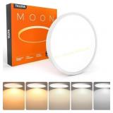 TALOYA 12' Flush Mount LED Ceiling Light, 20W