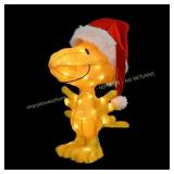 22 in. 3D LED Pre-Lit Yard Art Woodstock Hat