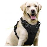 rabbitgoo Dog Harness, No-Pull, Adjustable, L