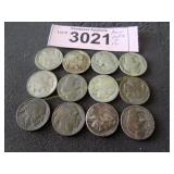 Twelve lower grade Buffalo nickels