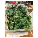 Tote of Artificial Ivy