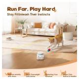 Auto Moving Cat Toy Enrichment (H1K2)