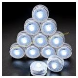 Bag of Idyllight Submersible LEDs, Tea Lights