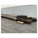 Approx 20 to 50 ft telephone poles  (Bidx12)