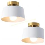 Ceiling Hallway Light, White Shade (2 Pack)