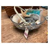 Basket with Sand Dollars + Sea Shells