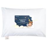 Toddler Pillow with Pillowcase 13x18 - Dreamy