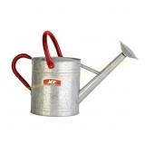 Ace Gray 2 gal Steel Watering Can