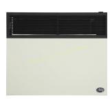 Ashley Hearth 25K-BTU Wall-Mount LP Heater