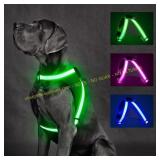 ChalkLit Light Up Dog Harness, Green, M
