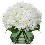 Hollyone White Hydrangeas Floral Vase