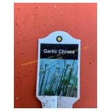 3 in pot Garlic Chives